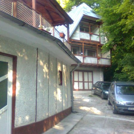 Hotel Casa Valea Iancului Sinaia Exterior foto